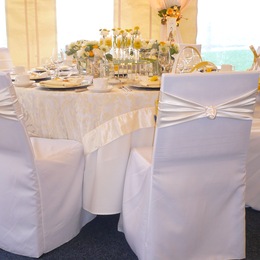 Platinum Designs, Inc. photo