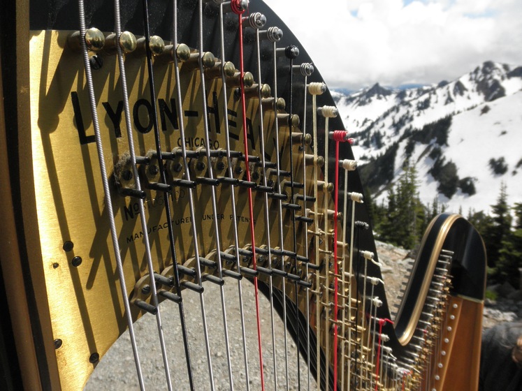 The Solo Harp Of Susan W. Haas wedding vendor photo