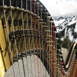 Photo of The Solo Harp Of Susan W. Haas, a wedding live music in Seattle