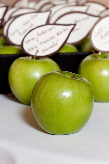 Red Fish Blue Fish Photography wedding vendor photo