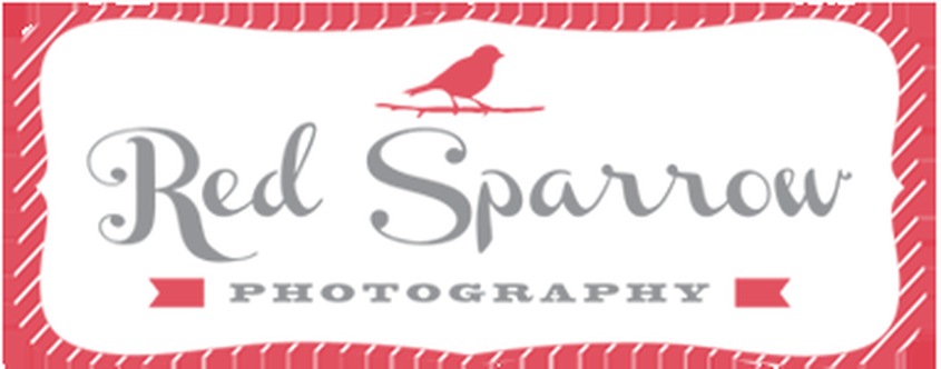 Red Sparrow Photography wedding vendor photo