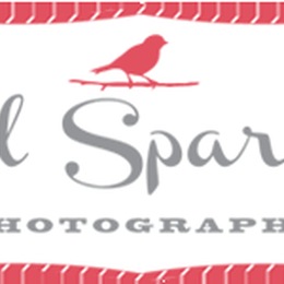 Photo of Red Sparrow Photography, a wedding photographer in Seattle
