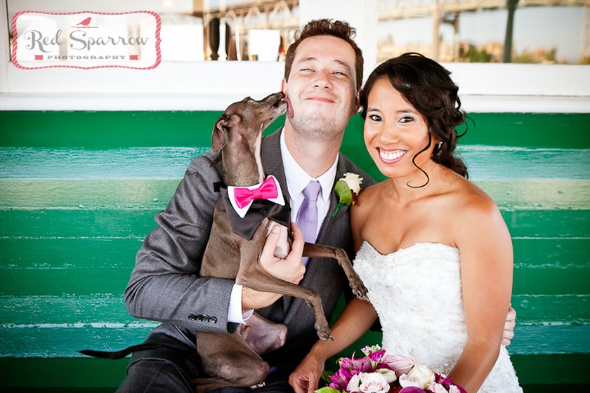 Red Sparrow Photography wedding vendor photo