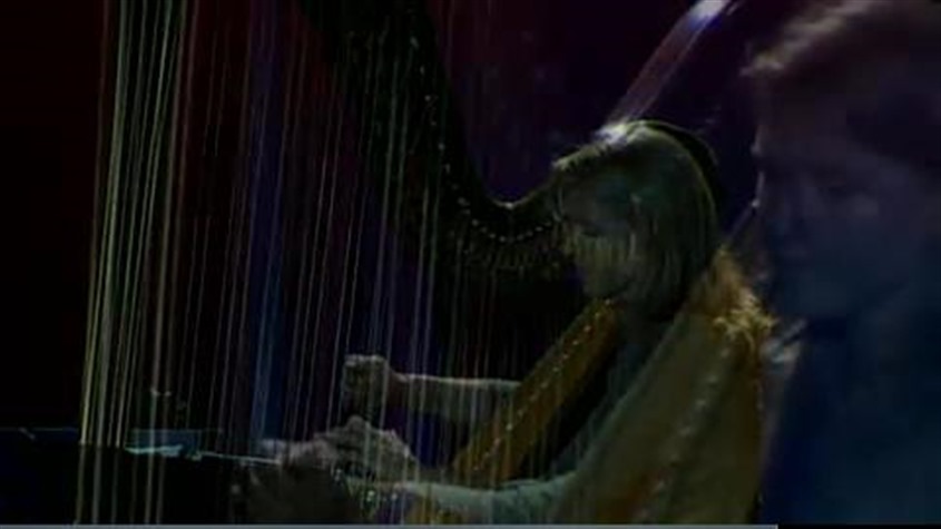 The Solo Harp of Susan W. Haas wedding vendor photo