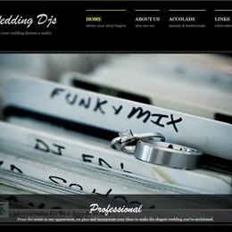 Photo of The Wedding Djs, a wedding DJ in Seattle