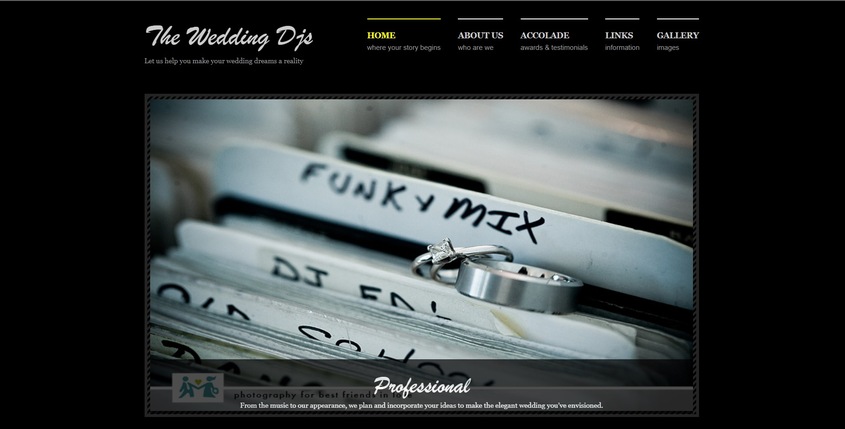 The Wedding DJs wedding vendor photo
