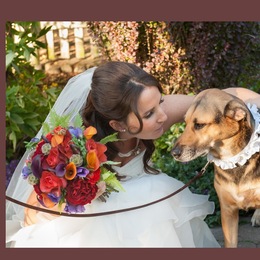 Photo of Steve Horn Photography, a wedding photographer in Seattle