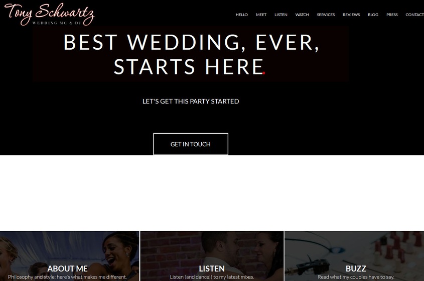 Tony Schwartz Mc DJ wedding vendor photo