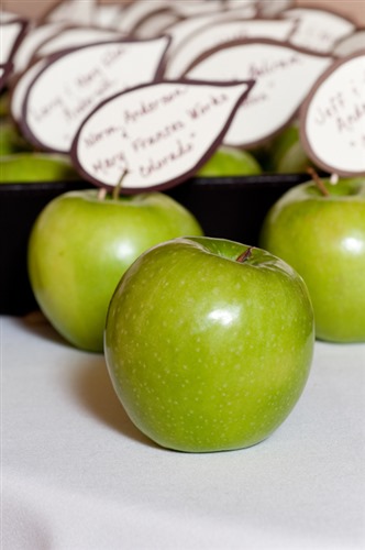 Red Fish Blue Fish Photography wedding vendor photo