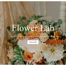 Flower Lab photo