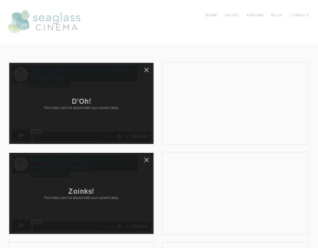 Seaglass Cinema wedding vendor photo