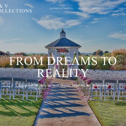 S & V Collections photo