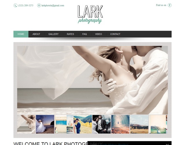 Lark Photo wedding vendor photo