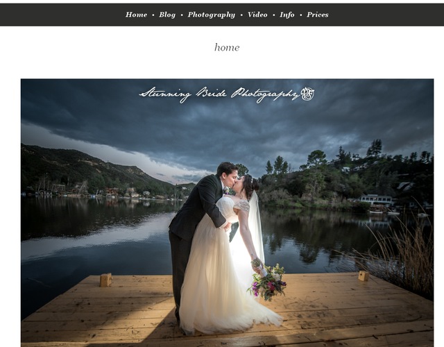 Stunning Bride  wedding vendor photo