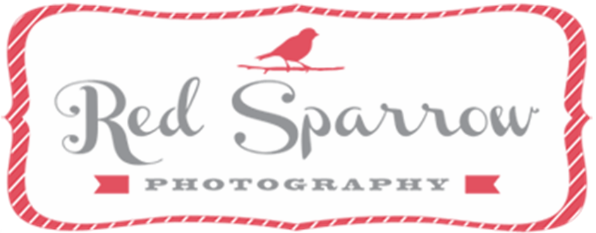 Red Sparrow Photography wedding vendor photo