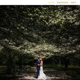Photo of Elena Bazini Photography, a wedding photographer in Chicago