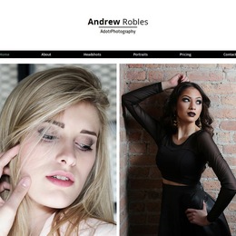 Photo of Adotrphotography, a wedding photographer in Chicago