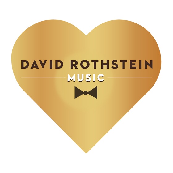 David Rothstein Music wedding vendor photo