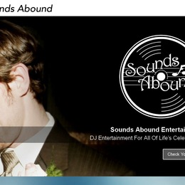 Photo of Sounds Abound, a wedding DJ in Chicago