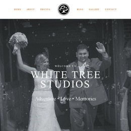 Photo of White Tree Studios, a wedding videographer in Chicago
