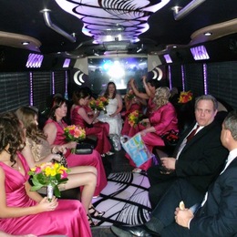 Photo of All American Limousine, a wedding limo service in Chicago