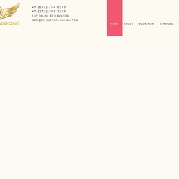 Photo of Deluxe Chicago Limo, a wedding limo service in Chicago