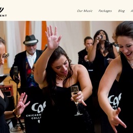 Photo of Stitely Entertainment, a wedding live music in Chicago