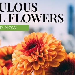 Photo of Ashland Addison Floral, a wedding florist in Chicago