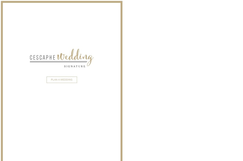 Vie by Cescaphe wedding vendor photo