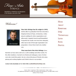 Fine Arts Strings photo