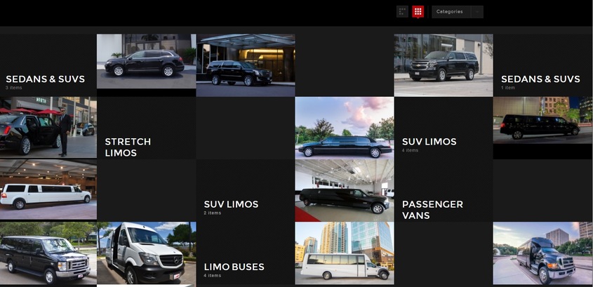 Action Limo wedding vendor photo