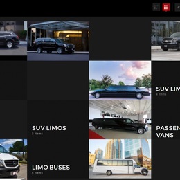 Photo of Action Limo, a wedding limo service in Houston