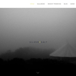 Photo of Silver And Salt Photography, a wedding photographer in Boston