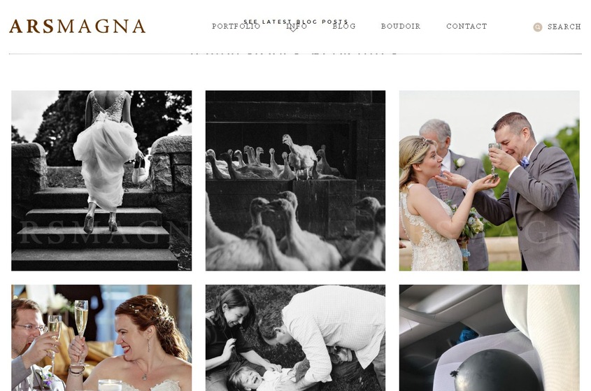 Ars Magna Studio wedding vendor photo