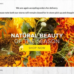 Photo of Jayne's Flowers, a wedding florist in Boston