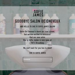 Photo of Salon De Cheveux, a wedding hair and make-up artist in Boston