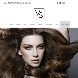 Photo of Viselli Salon, a wedding hair and make-up artist in Boston