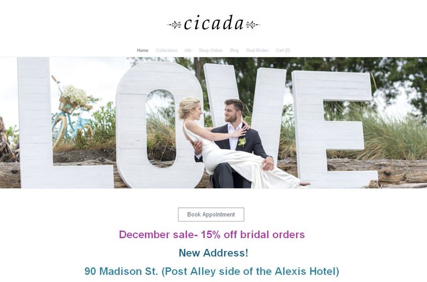 Cicada wedding vendor photo