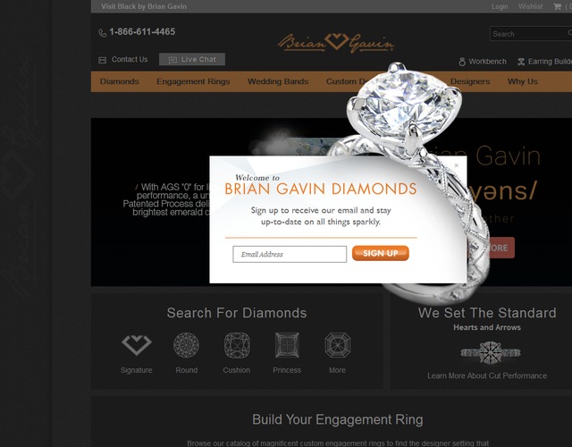 Brian Gavin Diamonds wedding vendor photo