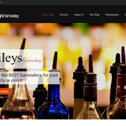 Photo of Baileys Bartending, a wedding bartenders and waiters in Atlanta