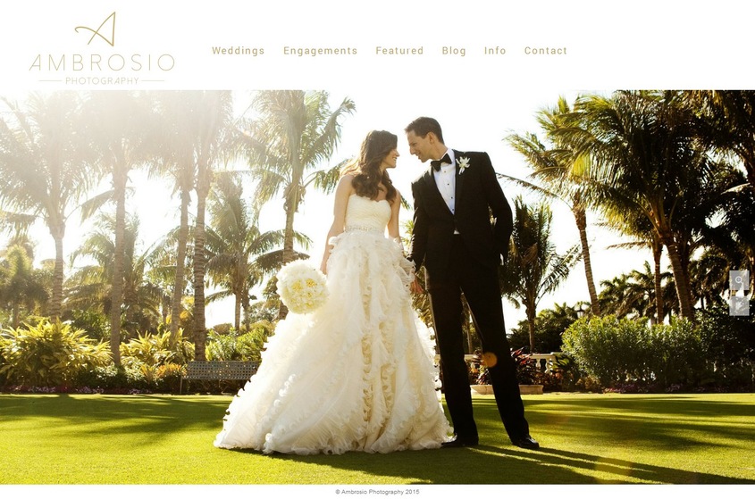 Ambrosio Photography wedding vendor photo