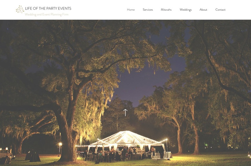 Life Of The Party Productions wedding vendor photo