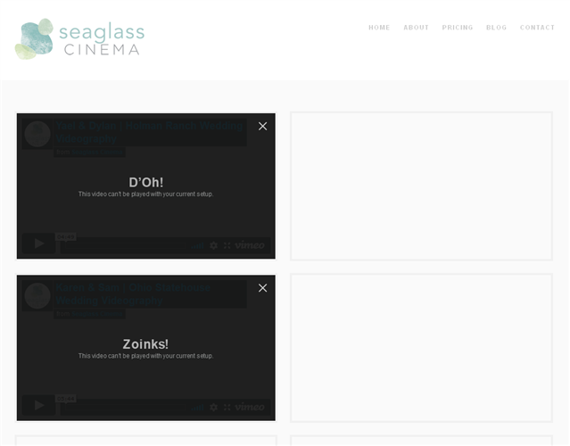 Seaglass Cinema wedding vendor photo