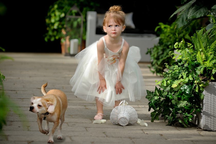 Marci Curtis - Michigan Wedding Photojournalist wedding vendor photo