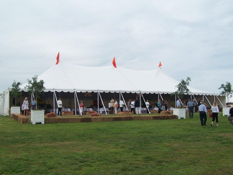 Elite Event Rental wedding vendor photo