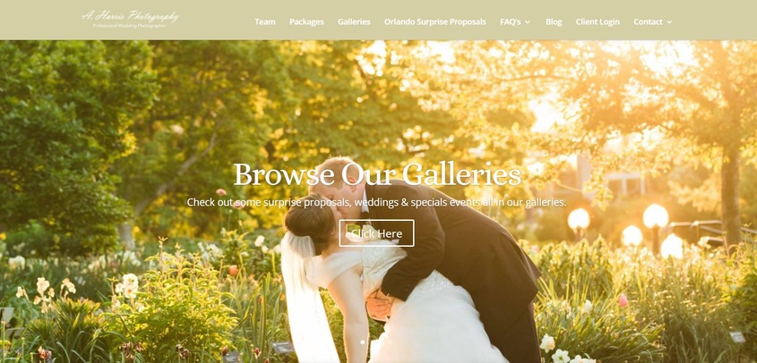 A. Harris Photography wedding vendor photo