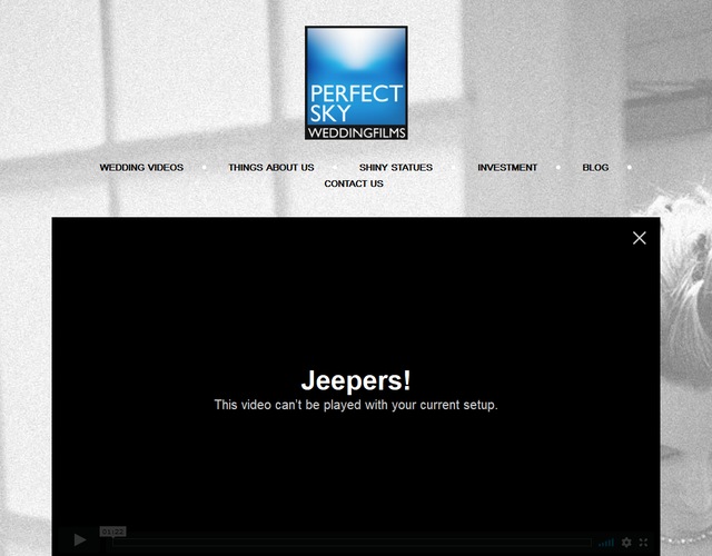 Perfect Sky Films wedding vendor photo