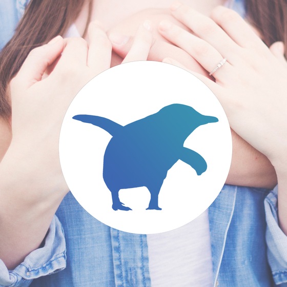Blue Penguin Creative Media wedding vendor photo