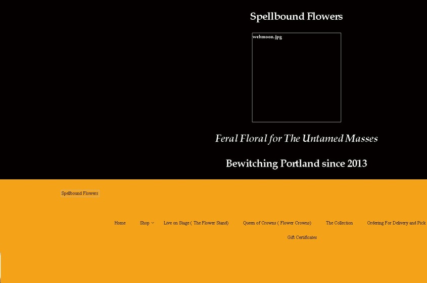 Spellbound Flowers wedding vendor photo