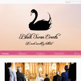 Black Swan Events photo